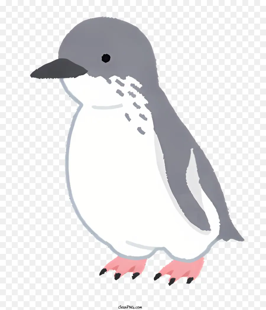 La Nature，Pingouin PNG