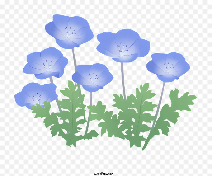 Fleurs Bleues，Feuilles Vertes PNG