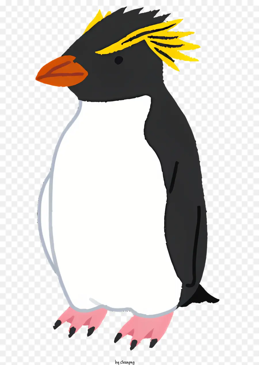 La Nature，Cartoon Pingouin PNG