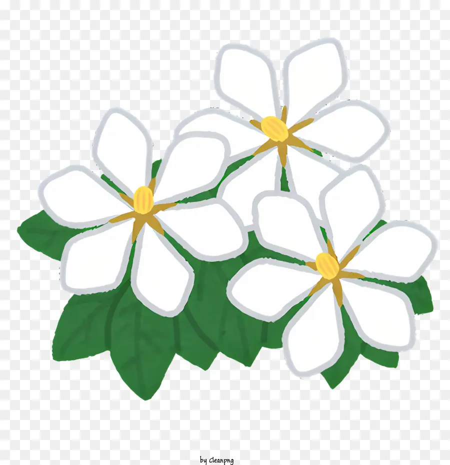 Nature，Fleurs Blanches PNG