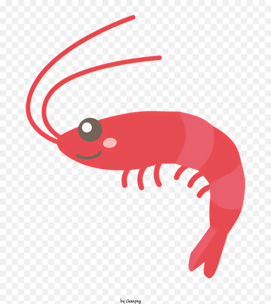 école，Crevettes Rouges PNG