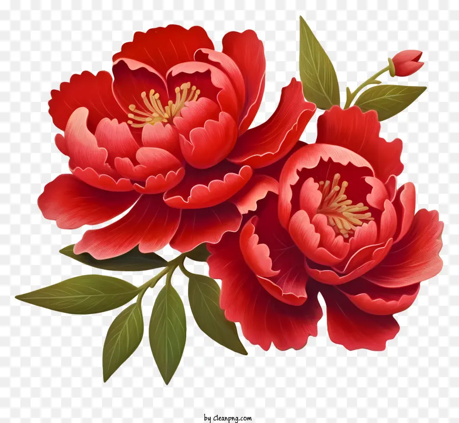 Nouvel An Chinois Réaliste，Rouge Pivoine Fleur PNG