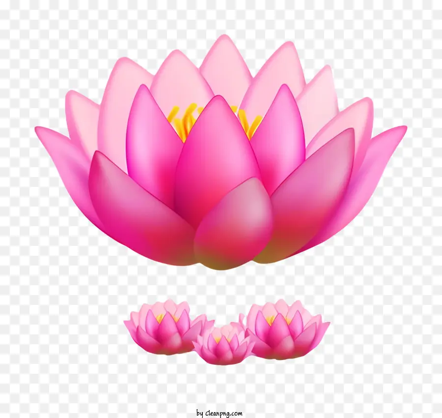 Bodhi Jour，Fleurs De Lotus Rose PNG
