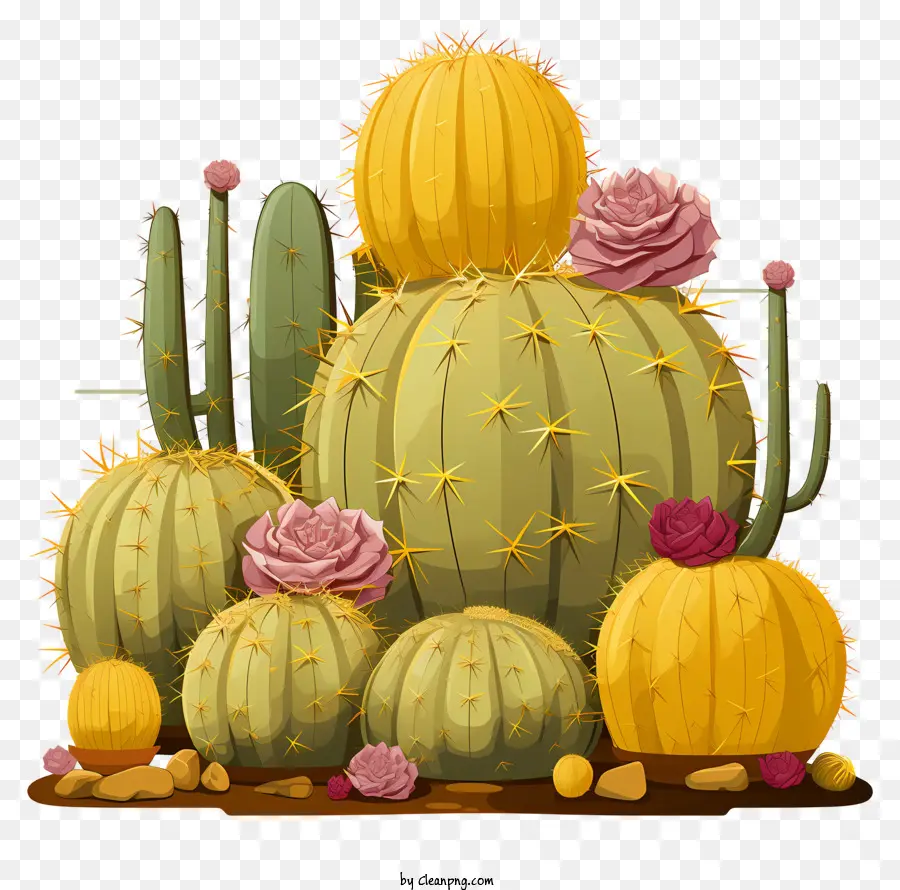 Succulentes Dessinées à La Main，Cactus PNG