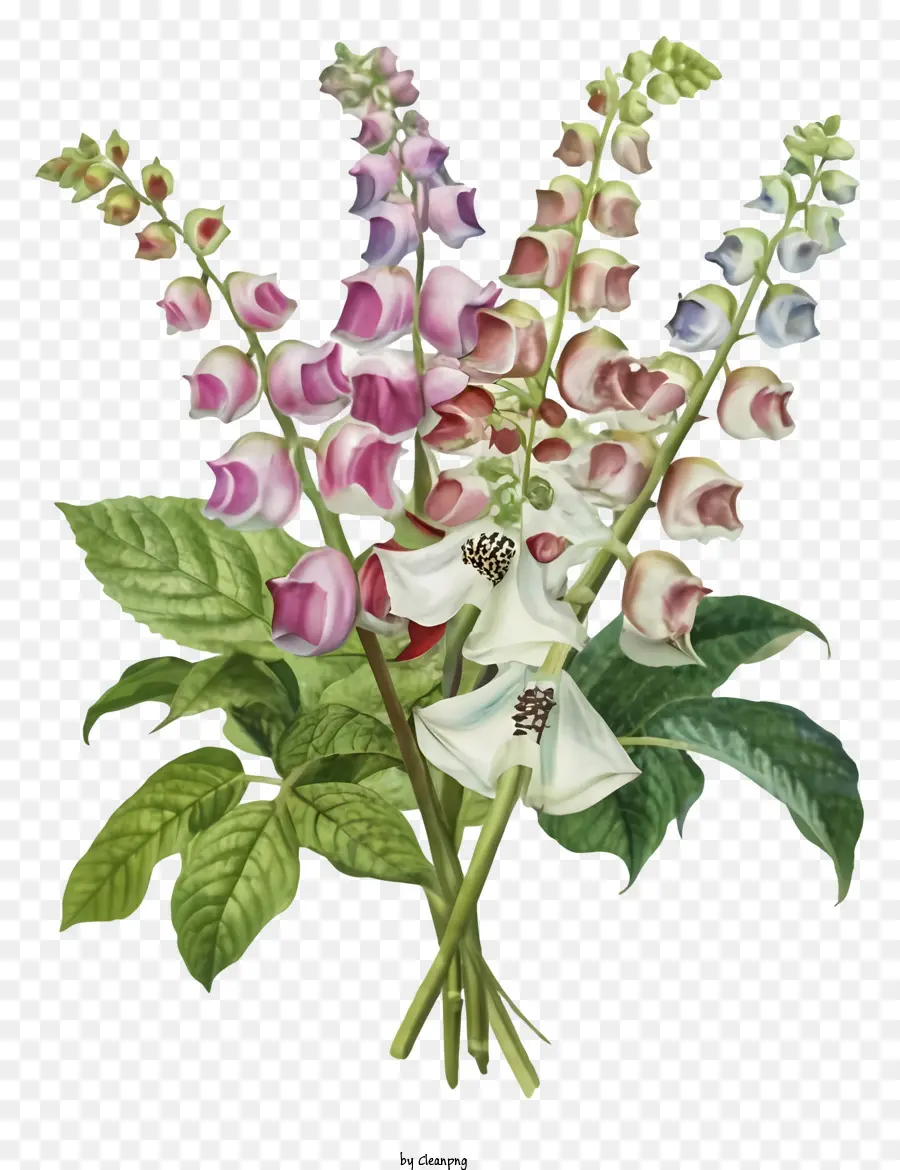 Enveloppe，Bouquet De Fleurs PNG