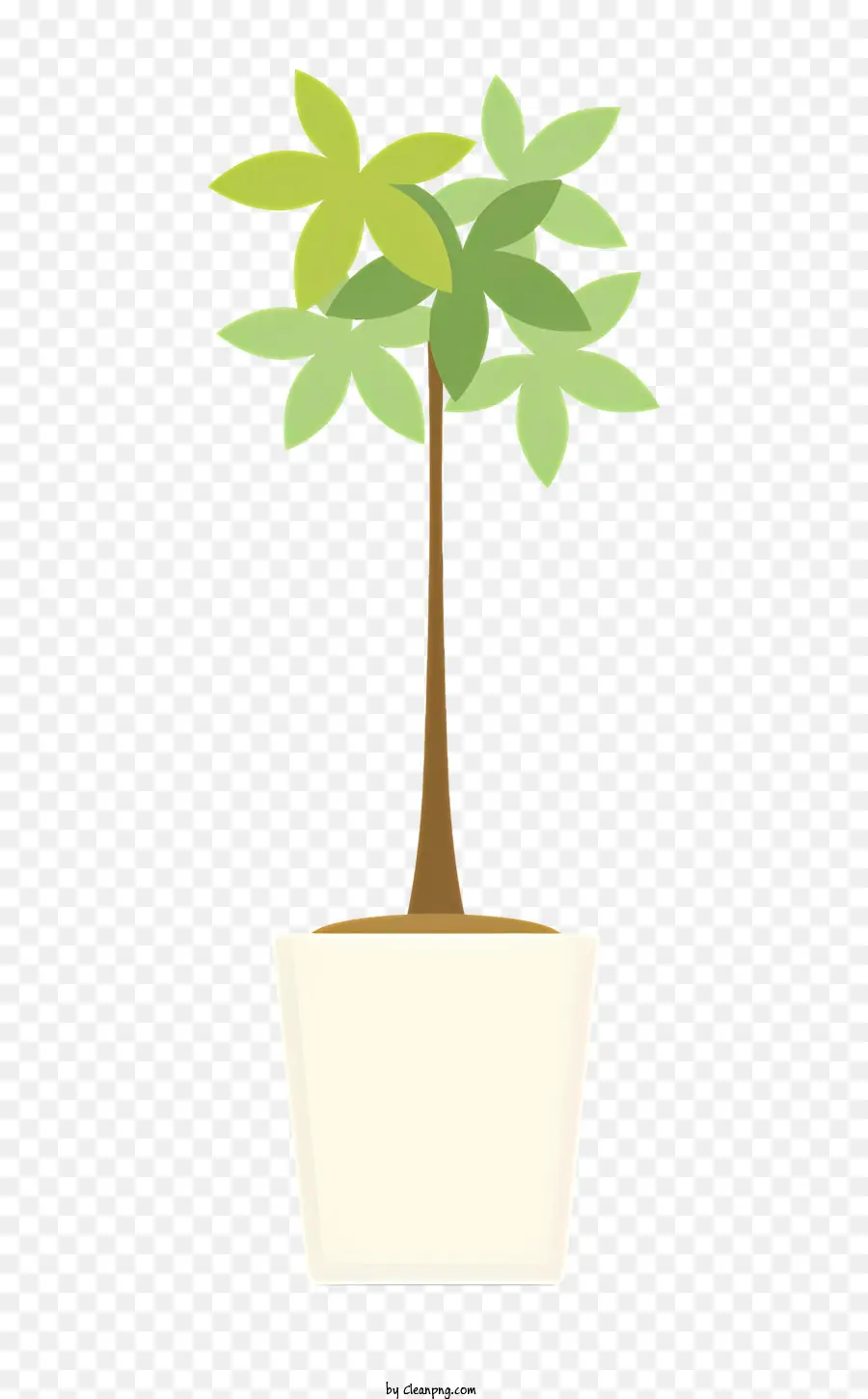 Plante En Pot，Petite Plante PNG