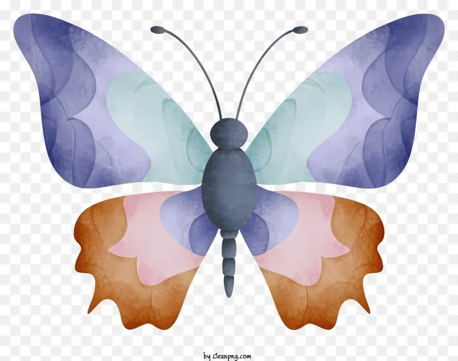 Enveloppe，Papillons Colorés PNG
