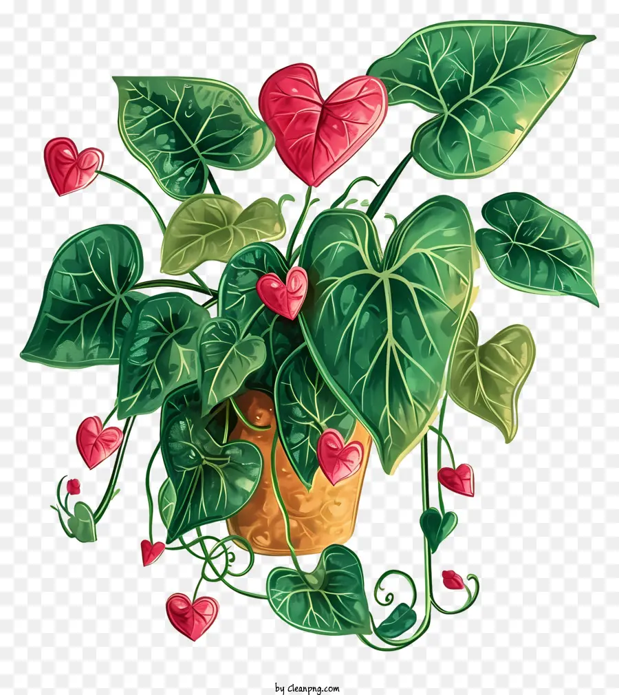 Dans Le Style De L'illustration Romantique，Plante De La Saint Valentin PNG
