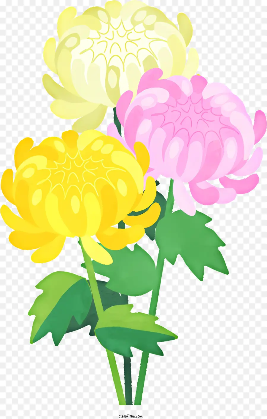 La Fleur De L'image，Fleurs Roses Et Jaunes PNG