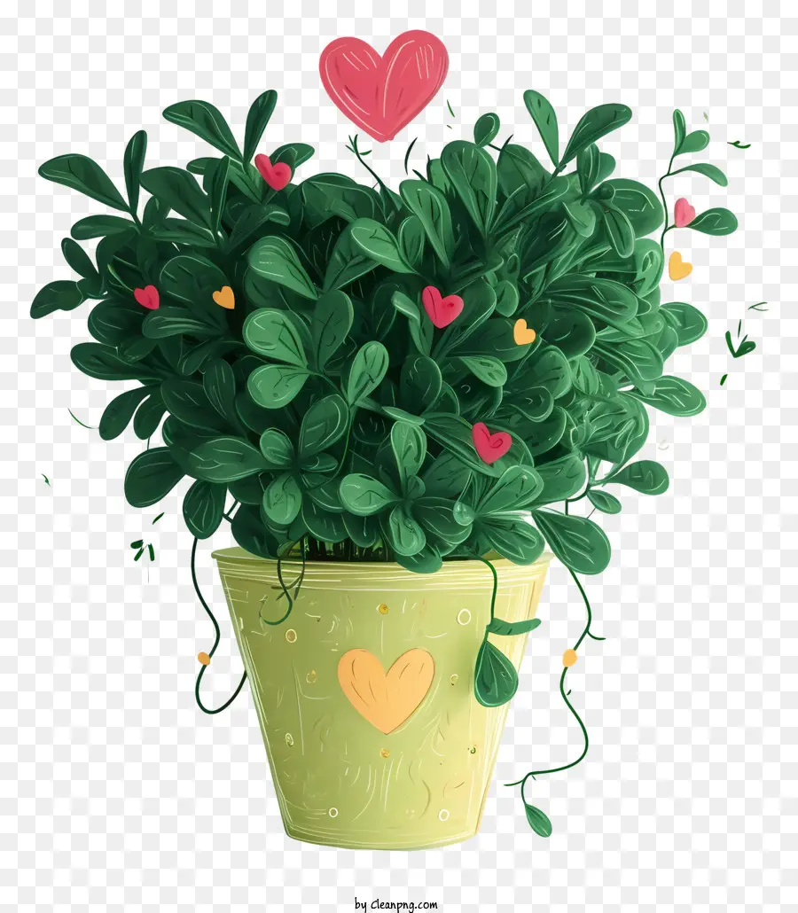 Plante D'amour，Les Plantes D'intérieur PNG
