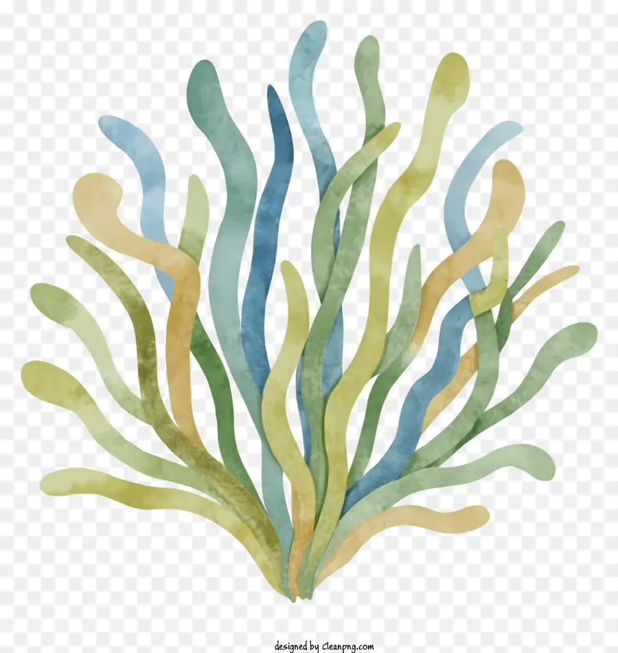 Dessin Animé，Art D'algues PNG