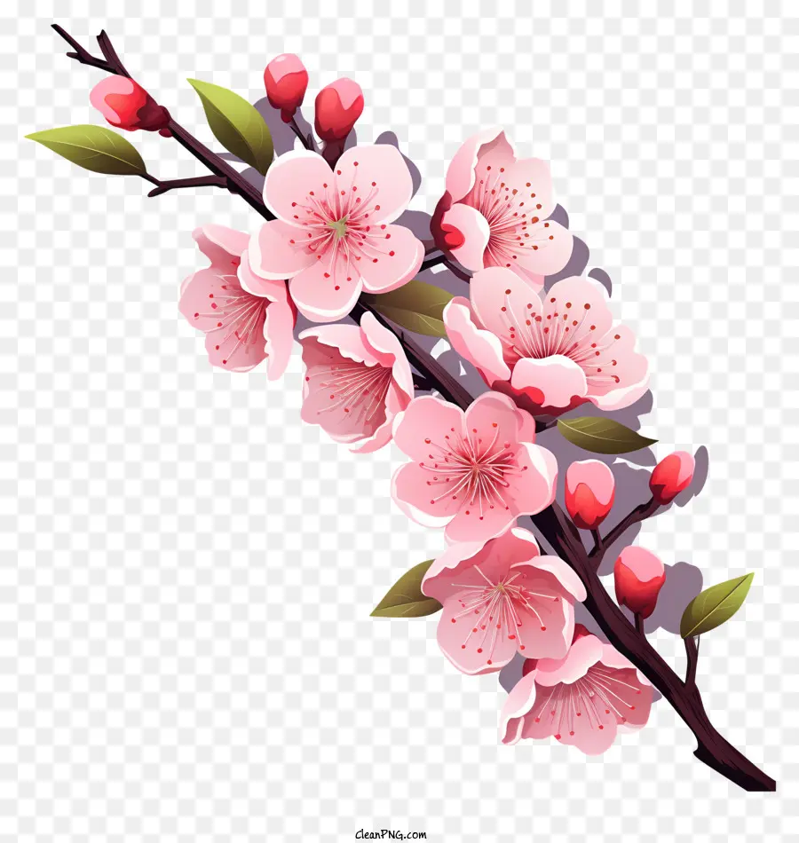 Branches Et Fleurs De Sakura，Fleur De Sakura Rose PNG