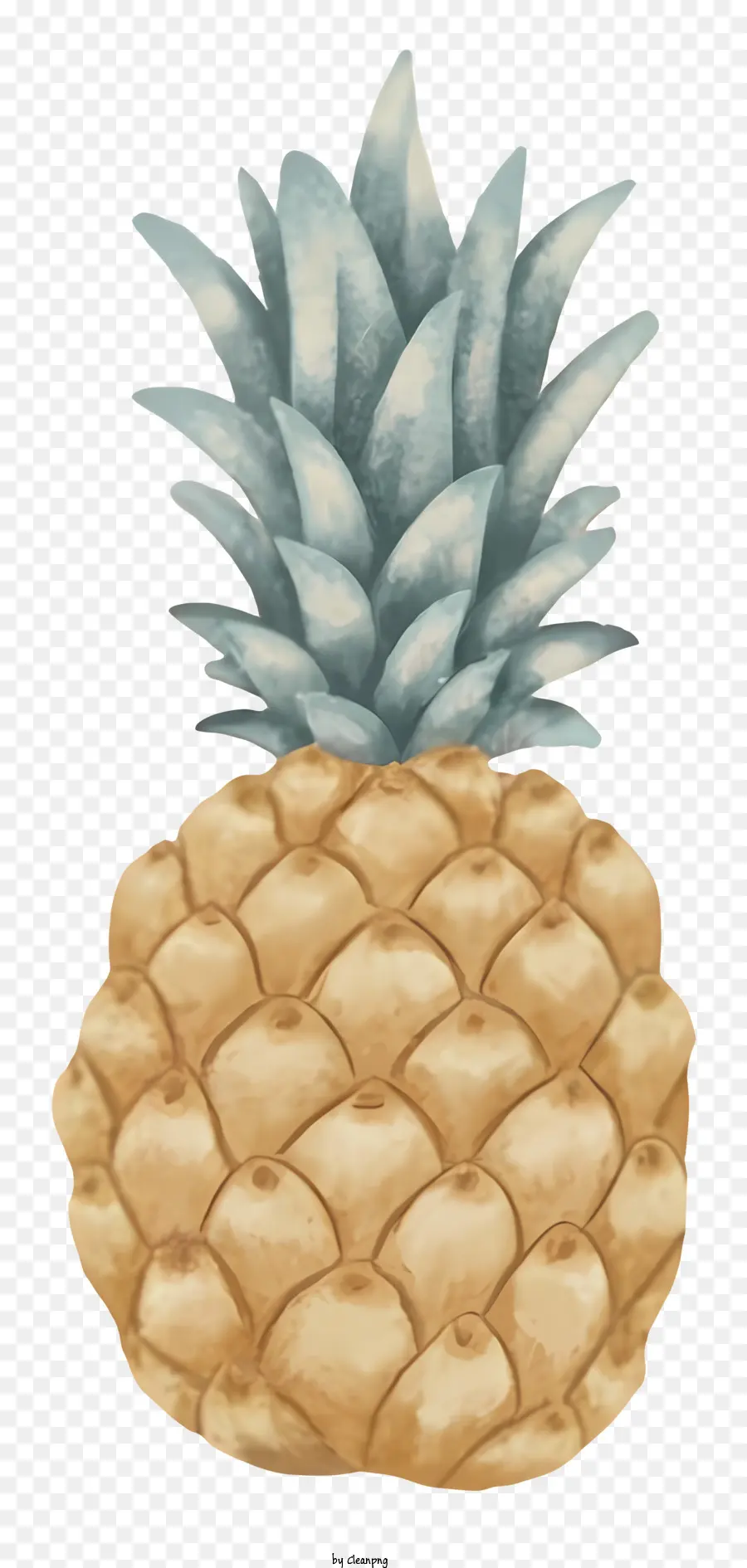 Dessin Animé，L'ananas PNG