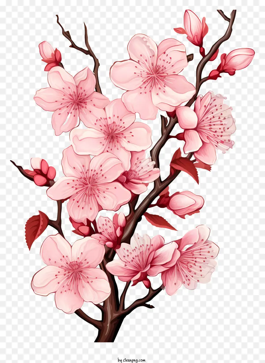 Branche De Cerise De Style Doodle Fleur，Sakura Arbre PNG