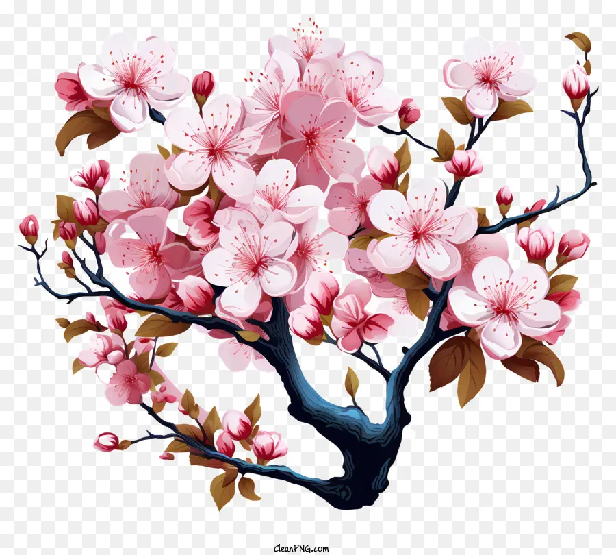 Branche De Cerisier Pastel Fleur，Cherry Tree Blossoms PNG