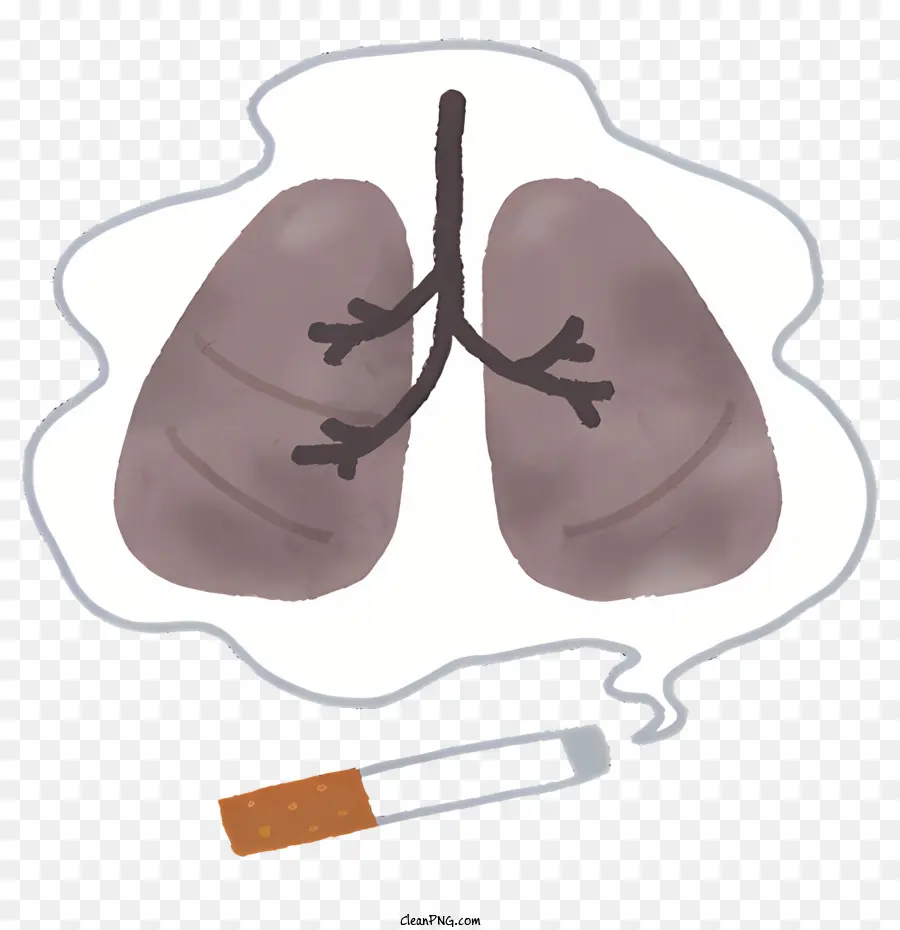 De La Santé，Le Poumon Humain PNG