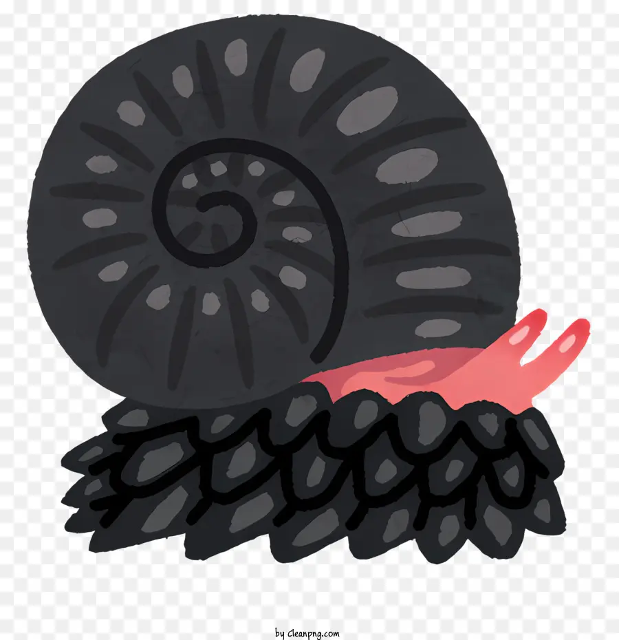 Escargot，Coquille En Spirale PNG