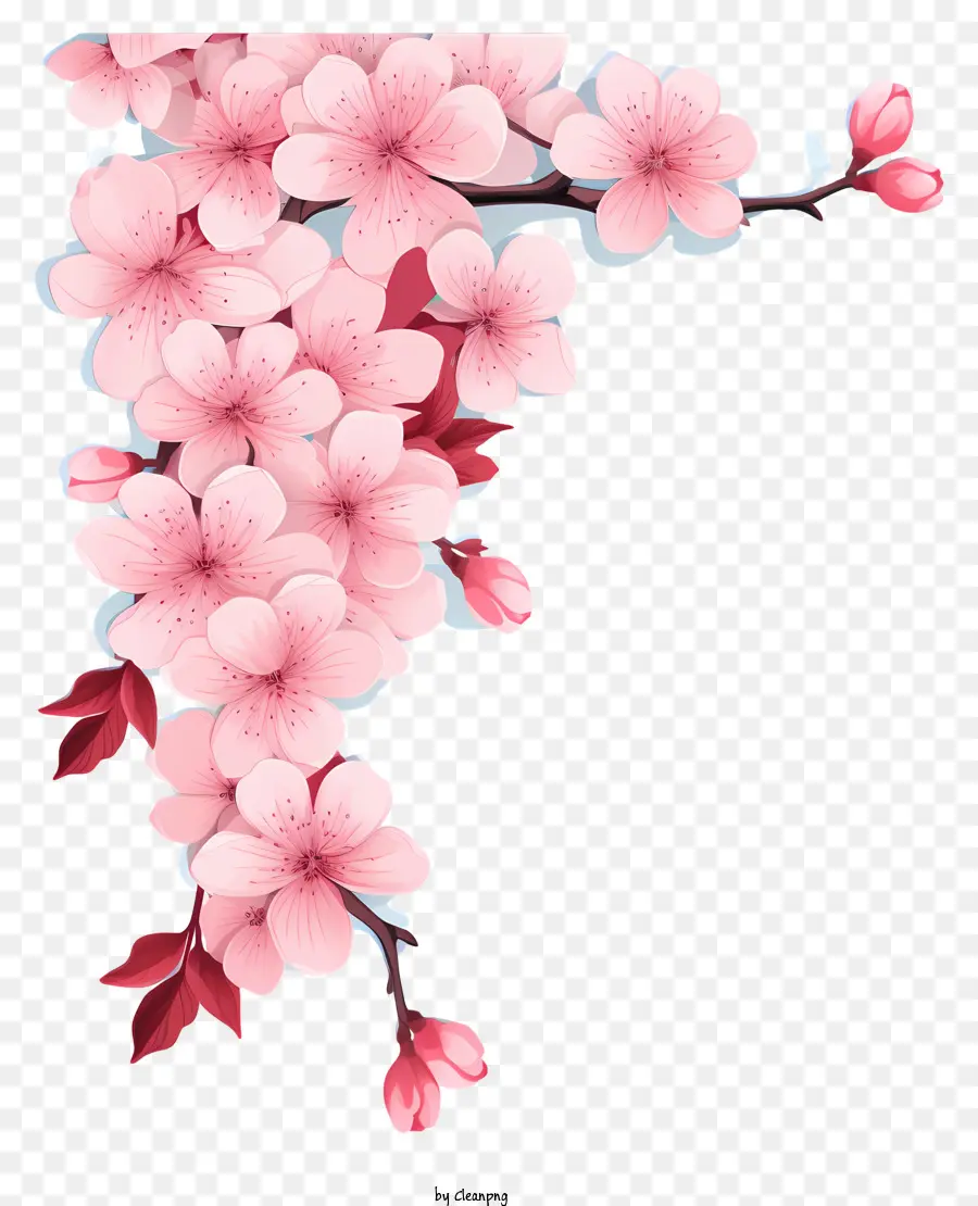 Sketch Style Branch Cherry Blossom，Fleur PNG