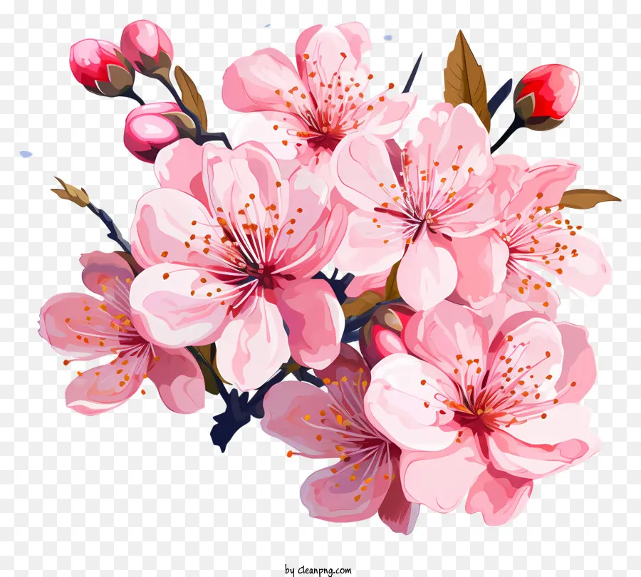 Peintures Multicolores De La Branche De Cerisier Fleur，Fleurs Roses PNG