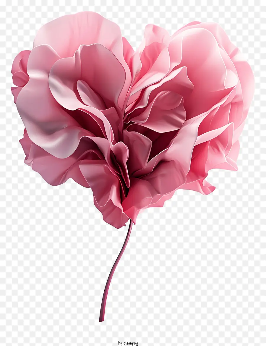 Fleur Rose，Fleur En Forme De Coeur PNG