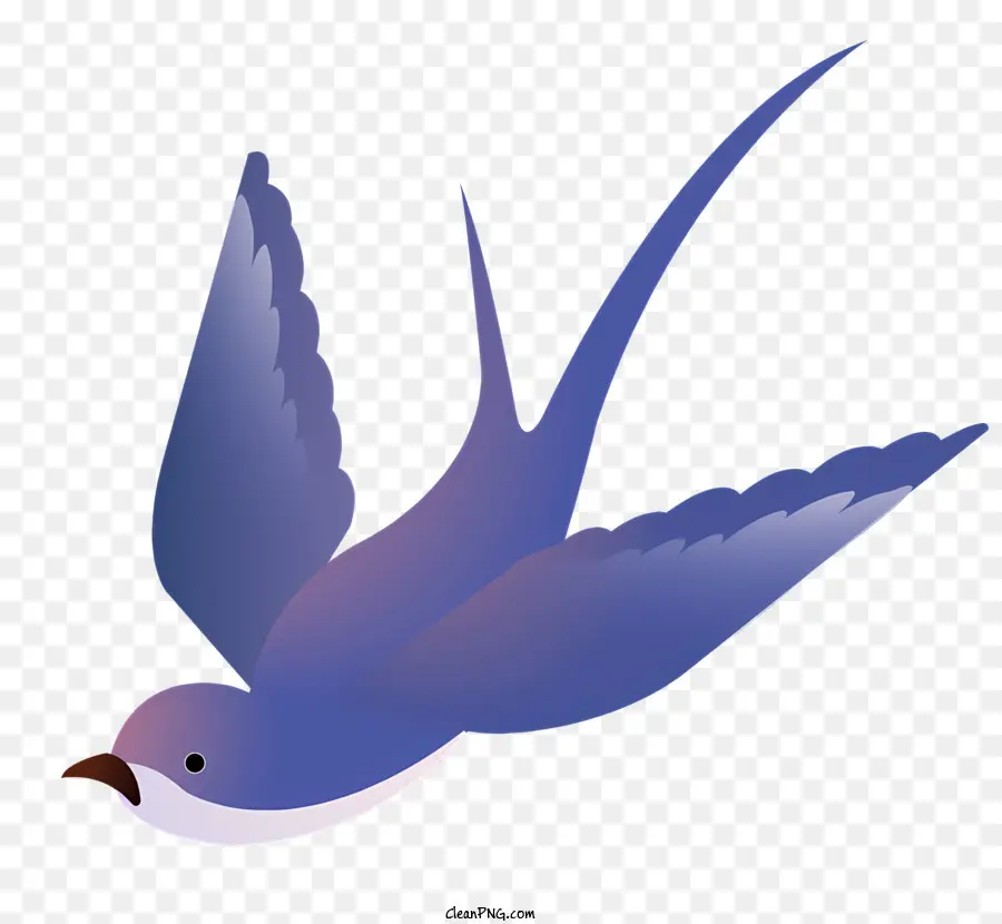 Globe Oculaire，L'oiseau Bleu PNG