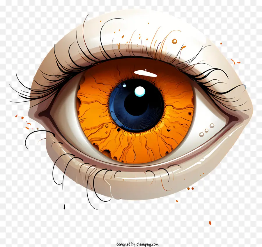 Globe Oculaire，Oeil Orange PNG