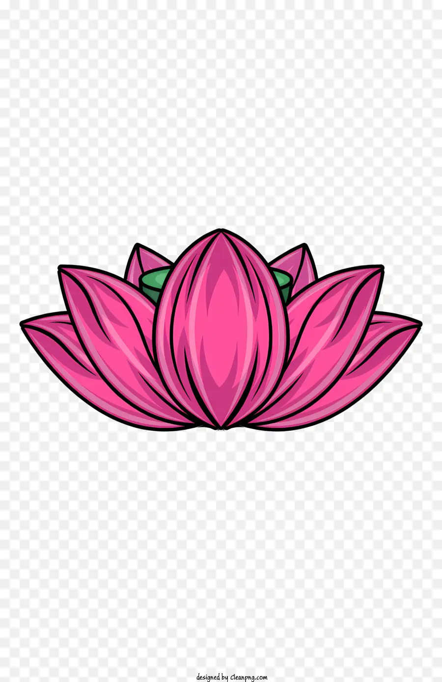 Globe Oculaire，Fleur De Lotus Rose PNG