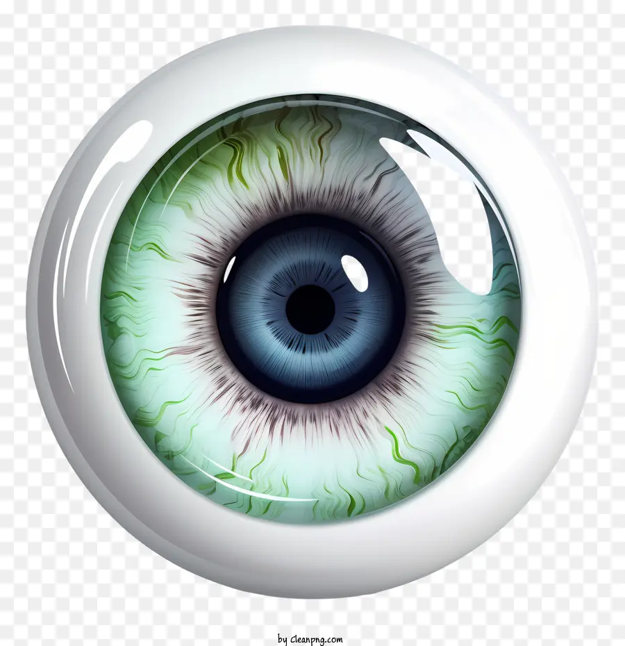 Globe Oculaire，Les Yeux PNG