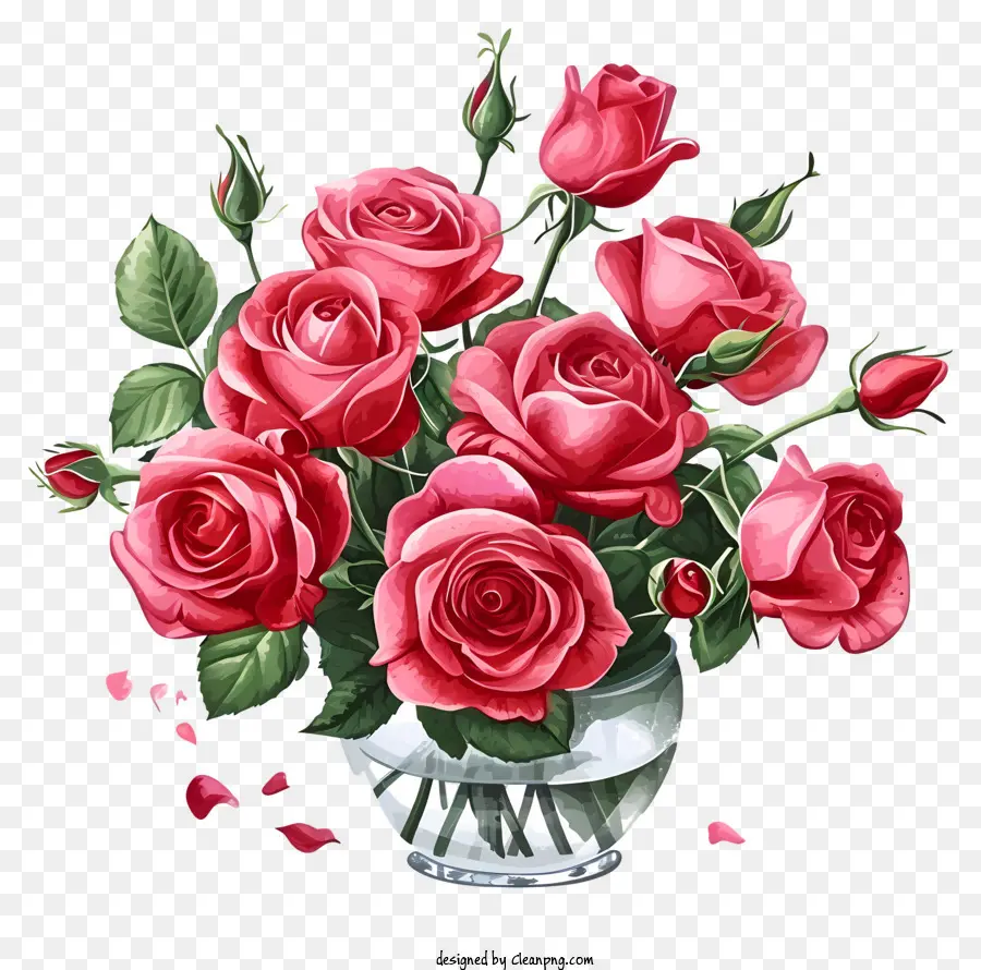 Valentine Rose Bunch Illustrer，Les Roses Roses PNG