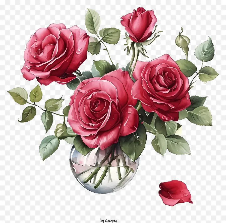 Roses De Valentine，Les Roses Rouges PNG