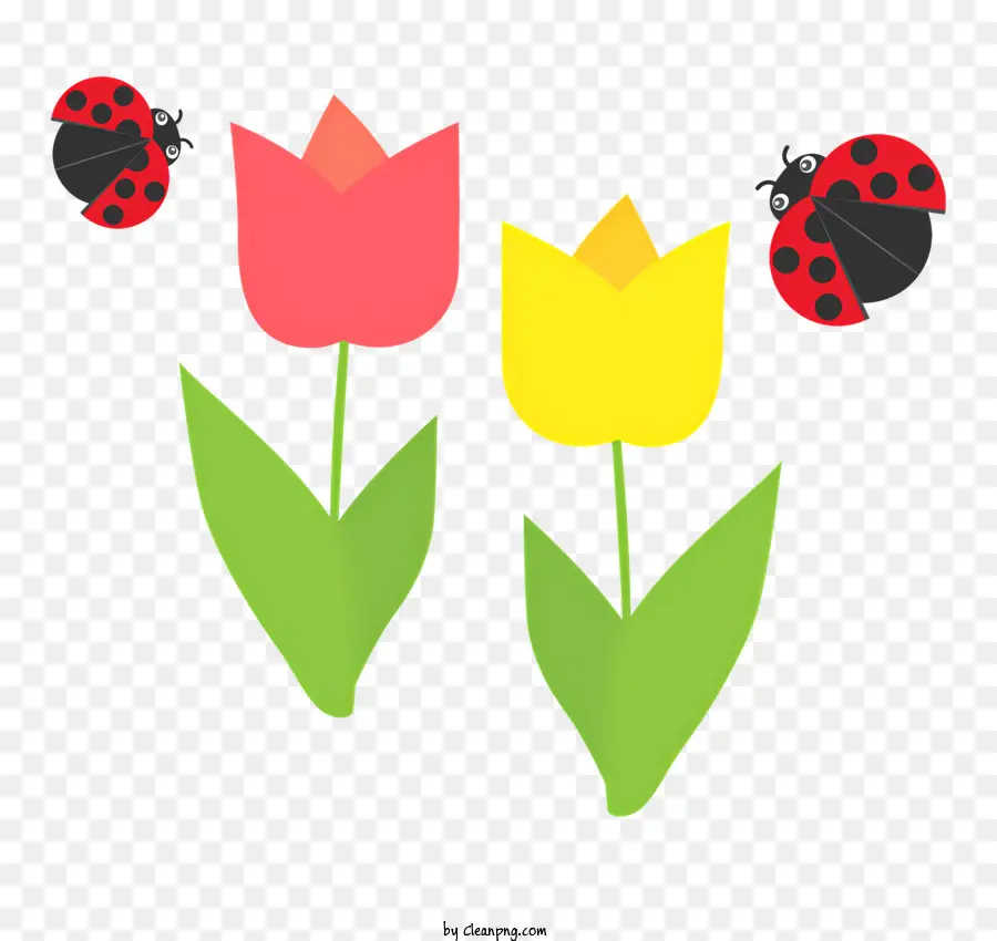 Tulipes，Coccinelle PNG