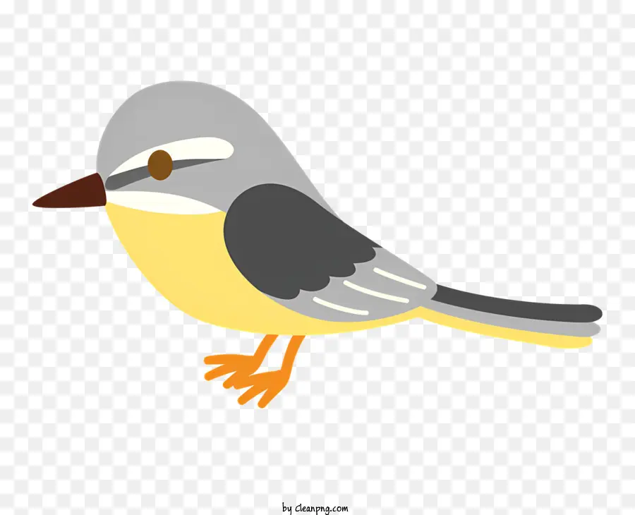 Oiseau Gris Et Blanc，Les Yeux Jaunes PNG