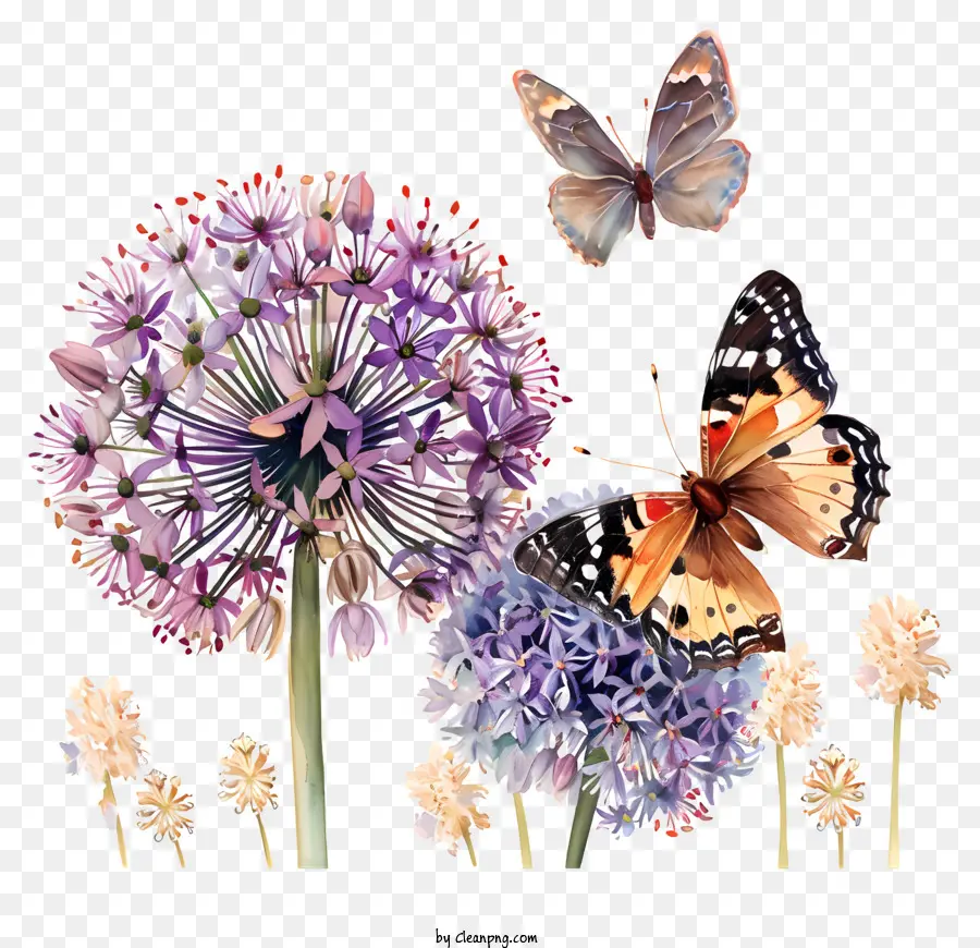 Allium Géant，Papillons Et Fleurs PNG