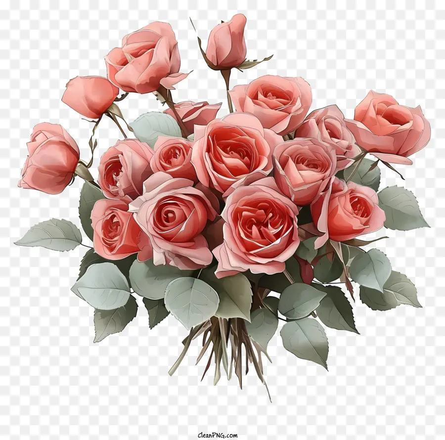 Bouquet De Roses Saint Valentin Dessiné à La Main，Roses Roses PNG