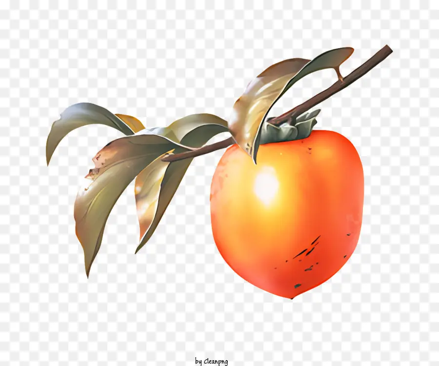 Fruits，Fruits Orange PNG