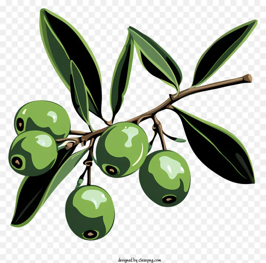 Branche D'olive Dessinée à La Main，Ensemble PNG