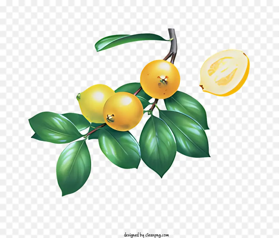 Fruit，Fruits Jaunes PNG