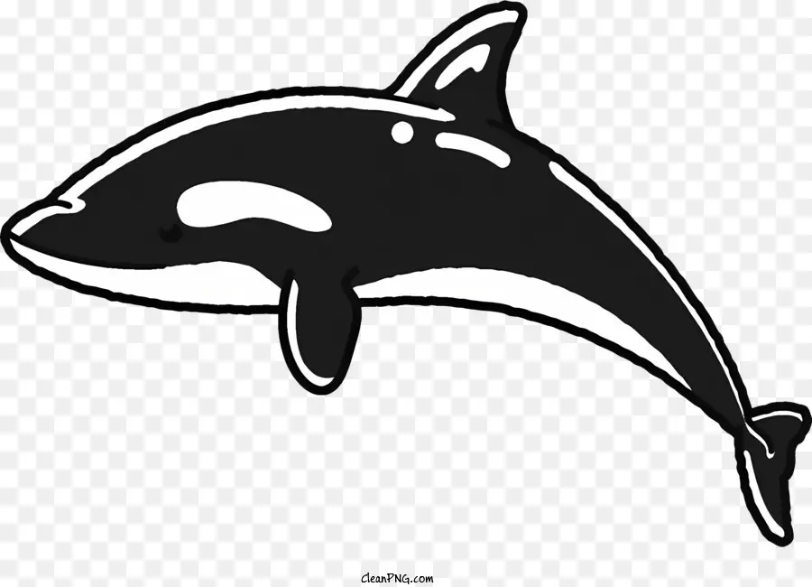 Épaulard，Orca PNG