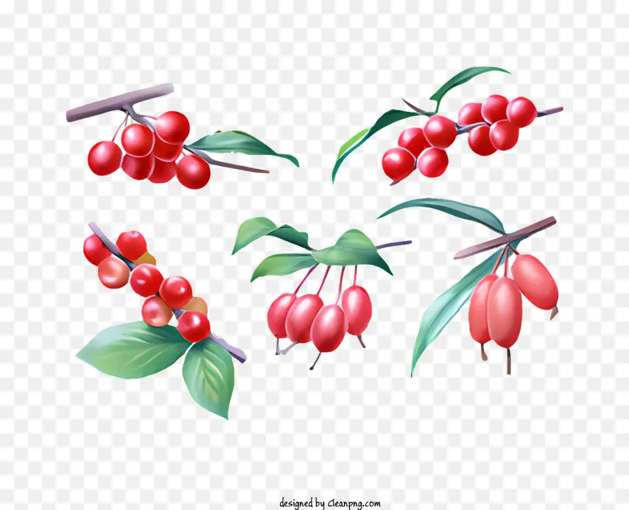 Fruits，Fruits Rouges PNG