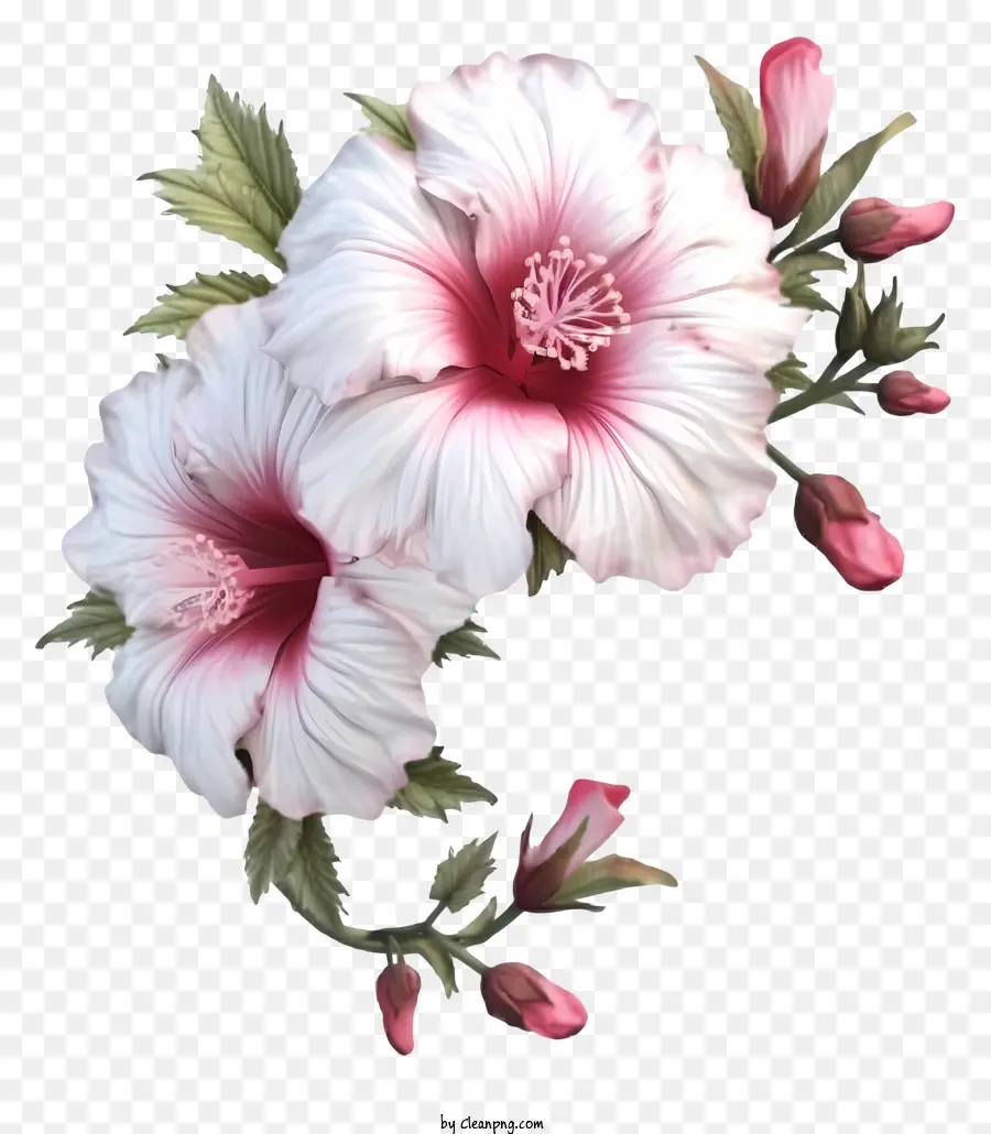 Rose 3d Réaliste De Sharon，Rose Fleur D'hibiscus PNG