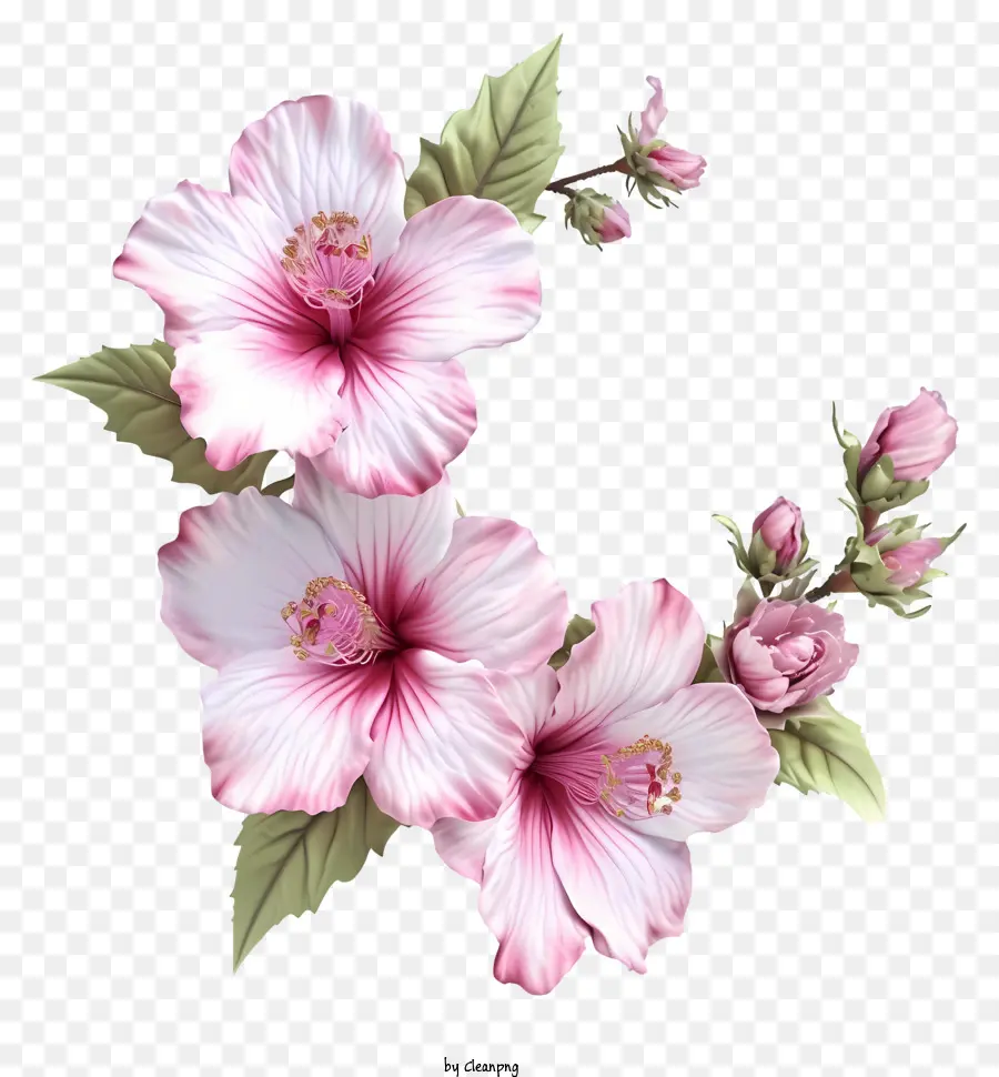 Rose 3d Réaliste De Sharon，Rose Fleur D'hibiscus PNG