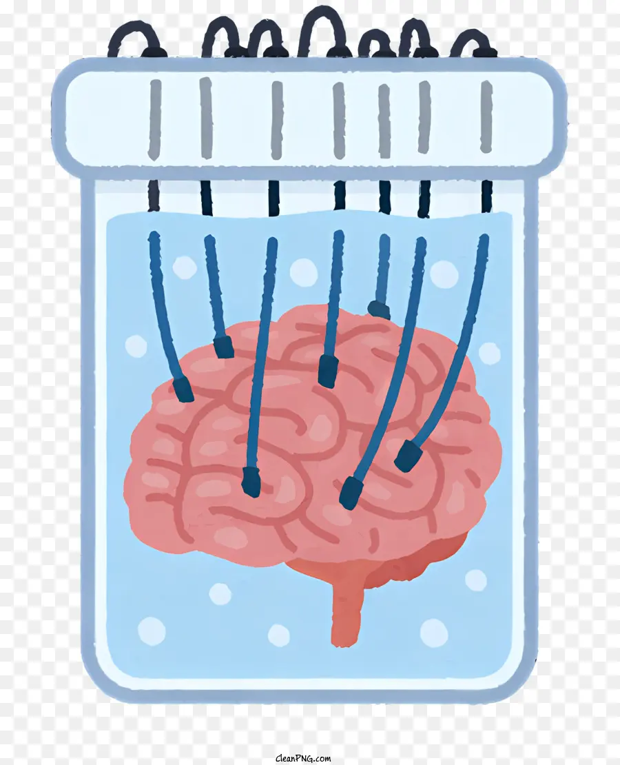 Icône，Cerveau En Pot PNG