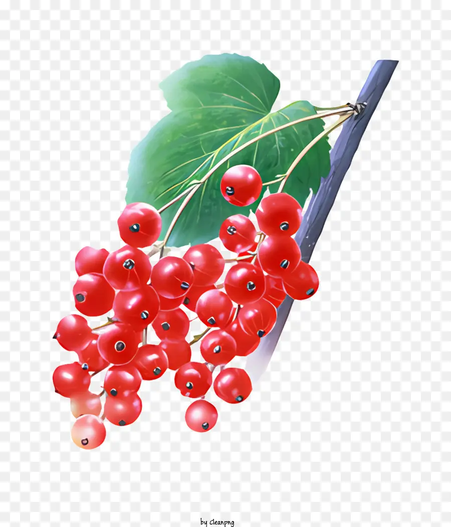 Fruit，Fruits Rouges PNG