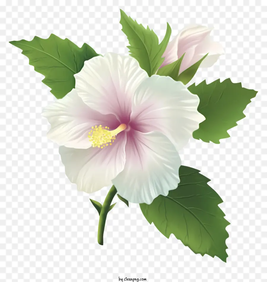 Icône Rose Of Sharon，Rose Fleur D'hibiscus PNG
