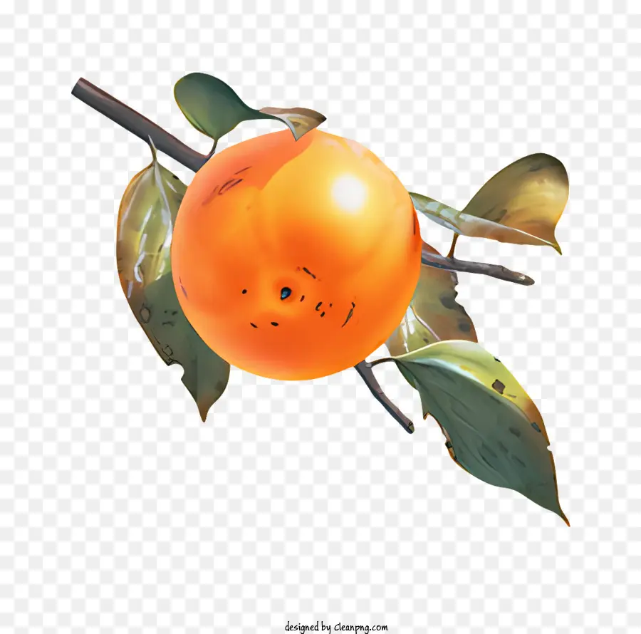 Fruit，Fruits Oranges PNG