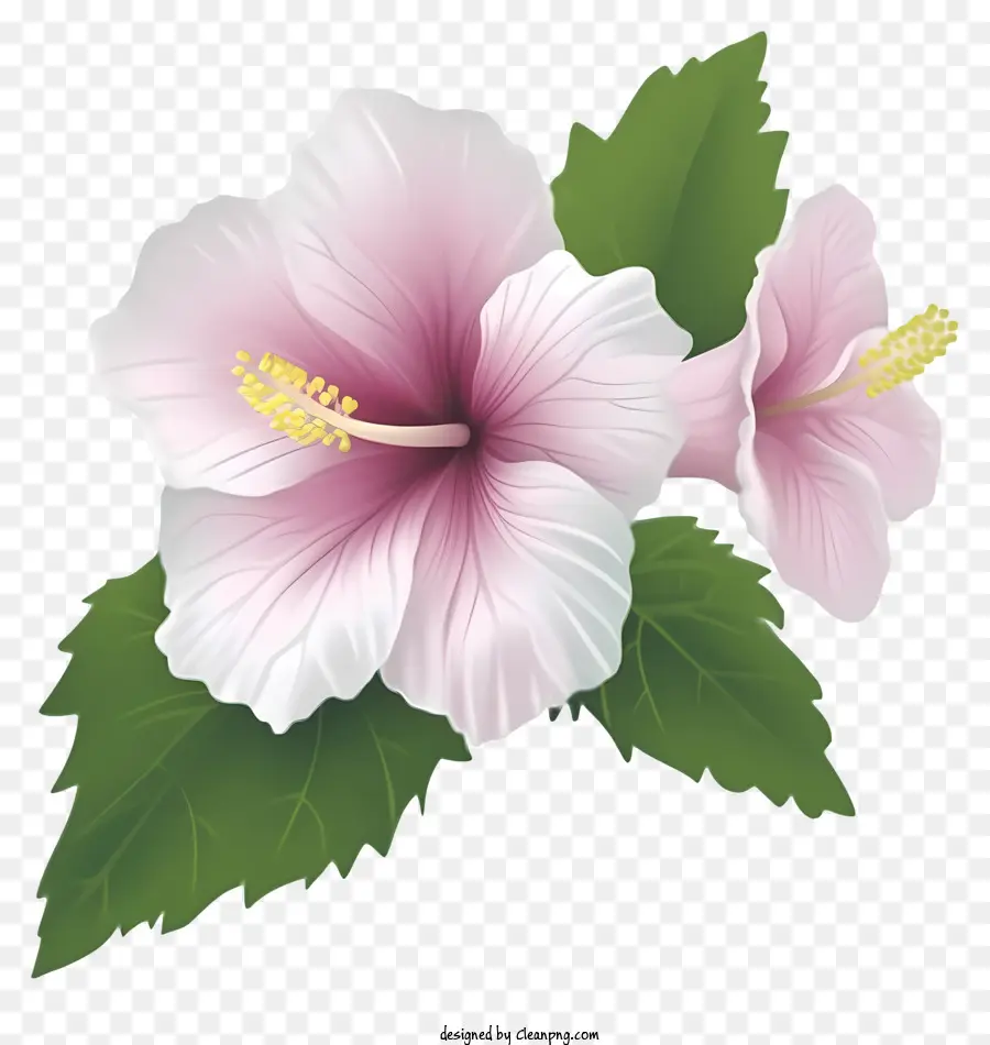 Rose De Sharon Emoji，Rose Fleur D'hibiscus PNG