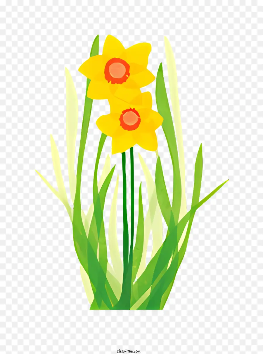 Fleur，Jonquilles Jaunes PNG