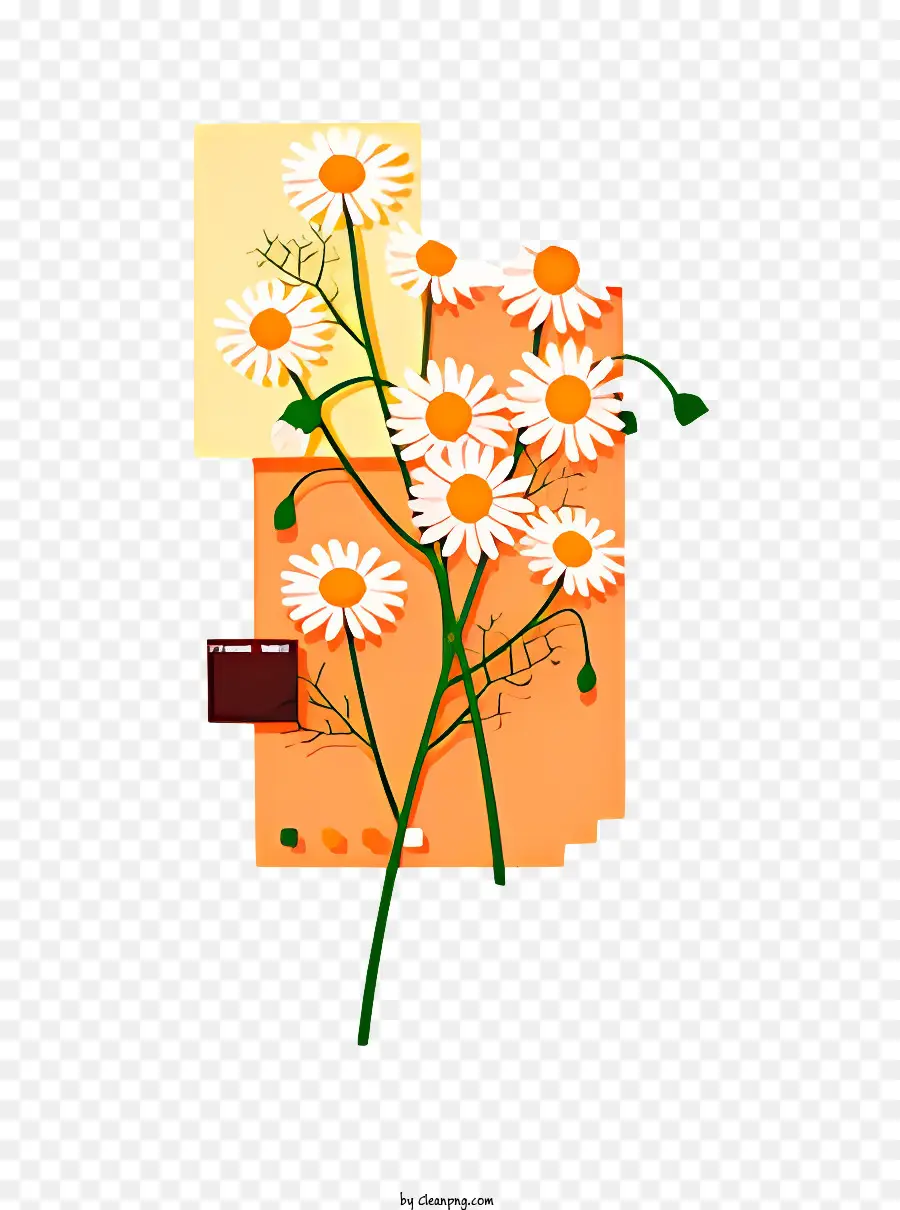 Fleur，Marguerites PNG