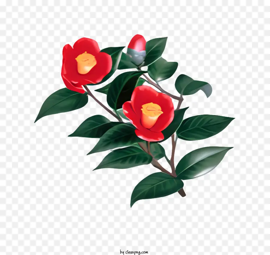 Fleur，Fleurs Rouges PNG