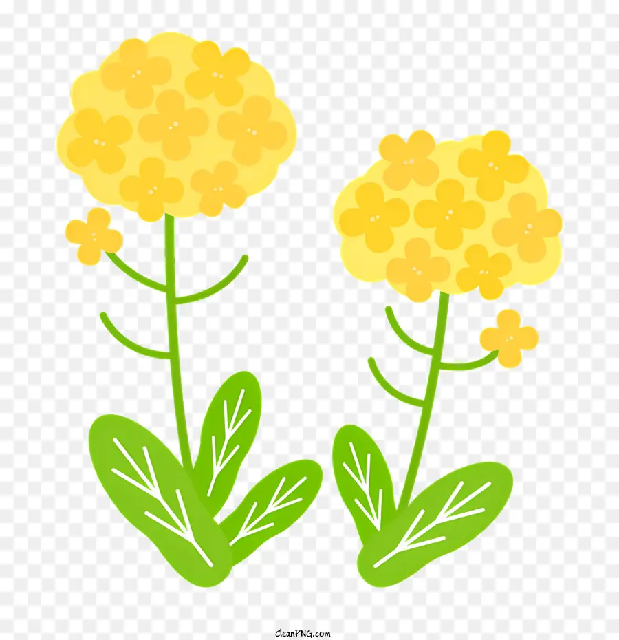 Printemps，Fleurs Jaunes PNG